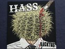 Hass - Kacktus