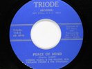 CONNIE McGILL & VISIONS Sweet/No Soul 45rpm I Wanna Be Yours/Peace Of Mind HEAR