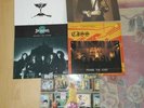 5 LP Heavy Metal Hard Rock Riot, Chastain, Domain, White Lion, Gary Moore TOP