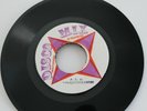 P.L.A. - REVOLUTIONARIES - WELL CHARGE