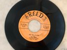 45 RPM Rockabilly Bill Perry, You Hit the Nail on the Head, Reed VG+
