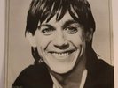 Iggy Pop 