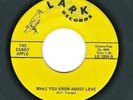 GARAGE/ PSYCH/OBSCURE ROCK 45  The Candy Apple  Lark  1064