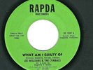 SWEET/FUNK  SOUL 45  Lee Williams & the Cymbals  Rapda  1002