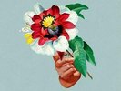 MARIBOU STATE: KINGDOM IN COLOUR +LP vinyl+