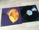 SWANS THE BURNING WORLD LP ORIGINAL VINYL 1989 VG++
