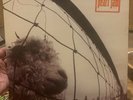Pearl Jam Vs original vinyl album