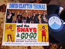 KILLER GARAGE FUZZ PUNK SHOUTER   THE SHAYS - A-GO-GO WILD R&B GARAGE PUNK