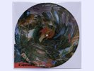 Black Midi Cavalcade Limited Edition Picture Disc Sold Out