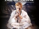 New David Bowie LiveAndWell.com Vinyl 2 LP Sealed Brilliant Live Adventures Well