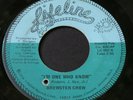 Brewster Crew   I'm One Who Know / Outta My Life   Lifeline   70's sweet soul 45