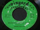 Dwain Vinyard   Searching For The Truth / Sit Down & Rest   gospel funk soul 45