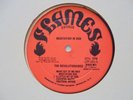 Meditation In Dub FLAMES Dub Roots Reggae LP HEAR