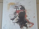 Peter Doherty Grace Wastelands RARE Vinyl LP  ALBUM 2009 SEALED