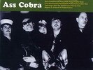TURBONEGRO-ASS COBRA (RE-ISSUE) (YELLOW VINYL) (UK IMPORT) VINYL NEW