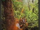 DOUGLAS FIR: hard heartsingin' QUAD 12