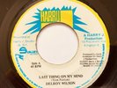 DELROY WILSON / LAST THING ON MY MIND /  REGGAE 7