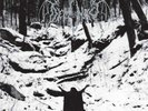 ID72z-DEMONCY-WITHIN THE SYLVAN RE-vinyl lp-New