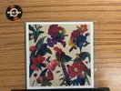 Washed Out - Paracosm Vinyl Record (VG++) Electro LP