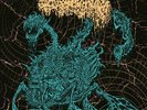 SANGUISUGABOGG - Tortured Whole - LP + A2 Poster - 180g Vinyl