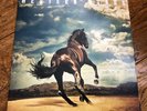 Bruce Springsteen - Western Stars - Double Blue Vinyl Album