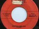 DEL-CHORDS Marsha-Mellow/At The Hop RARE DOO WOP R&B ROCKER 45 *hear*