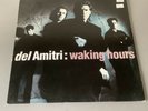 DEL AMITRI Waking Hours LP (1990 A&M AMA 9006) UK Original LP & Inner Sleeve VGC
