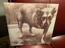 ALICE IN CHAINS 2LP SAME