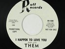 Garage 45 - Them - I Happen To Love You - Ruff - VG+ mp3