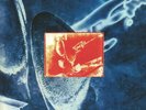 DIRE STRAITS - On Every Street (Start Your Ear Off Right Edition) - Vinyl (2xLP)