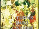 The Stone Roses - Turns Into Stone [Used Very Good Vinyl LP] 180 Gram