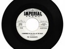 DOO WOP 45 RAINDROPS I REMEMBER IN THE STILL OF THE NIGHT IMPERIAL  VG+ ORIGINAL