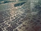 Shore by Fleet Foxes - Limited Exclusive Crystal Clear Vinyl 2 LPs -Anti Records