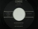 Surf Inst. 45 - Ree-Gents - Downshiftin - Conbie - mp3