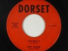 Surf R&B Inst. 45 - Jerry Warren & the Tremblers - Tremble/Rompin - Dorset - mp3