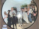 Lana Del Rey Chemtrails Over the Country Club Picture Disc Spotify Vinyl RARE