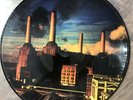 Pink Floyd Animals (Picture Disc) Rare