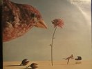 DEODATO First Cuckoo - 1975 UK Vinyl LP EXCELLENT CONDITION original