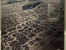 Fleet Foxes - Shore Vinyl LP Spotify Exclusive SANDY GOLD Sealed 1000 Only