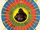 KRISHNANDA - SANTOS PEDRO