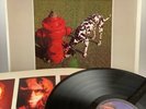 RUSH - Signals/VINYL LP/Mercury/Vg+,Vg/Original US Club CRC Press