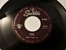 1958 ROCKABILLY 45 CHUCK TEQUILA RIO RAY STANLEY EDDIE COCHRAN on CANADA SPARTON