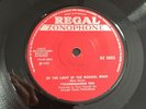 Marc Bolan T.Rex Tyrannosaurus Rex By The Light Of A Magical Moon 7