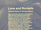 Love And Rockets Seventh Dream Of Teenage Heaven LP COLORED VINYL RECORD Bauhaus