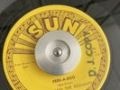 Sun Records Garage 45 Randy and The Radiants
