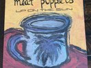 MEAT PUPPETS Up on the Sun LP Original Press 1985 SST