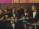 THE LAT-TEENS - SAME
