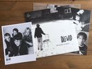 Idlewild - 100 Broken Windows 12” Vinyl Lp & Print