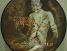 Cannibal Corpse - Vile PICTURE LP MINT