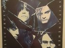 Celtic Frost - Vanity Nemesis LP with insert